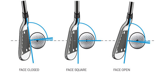 Delivered Face Angle Data